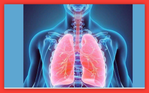 World COPD Day: आज सीओपीडी दिवस है और लंबे समय तक खांसी और बलगम निकलने समेत ये लक्षण हैं इस गंभीर बीमारी के संकेत! ऐसे करें अपनी सुरक्षा