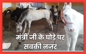 Photos : मंत्री नीतीश के घोड़े ने सोमपुर बाजार में बटोरी वाहवाही, नंदी और भैंसों की कीमत एक लाख रुपये